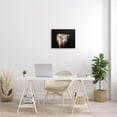 thumbnail image 3 of Stupell Industries Farmhouse Solemn Cattle Portrait Modern Farm Animal over Black Canvas Art, 20 x 16, by Marika Moffit, 3 of 7