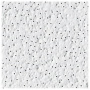 USG Interiors 210 A Tabaret Perforated Fiberglass Ceiling Tile - Pack Of 12