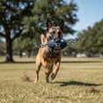 thumbnail image 1 of Juguete Balon con cuerda para perro NFL Dallas Cowboys 100% oficial, 1 of 6