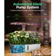 thumbnail image 4 of LetPot 10-Pod Hydroponics Growing System - APP & WiFi Controlled Smart Indoor Herb Garden Kit with Grow Lights & Pump, Height Adjustable, Gardening Gift, 4 of 8