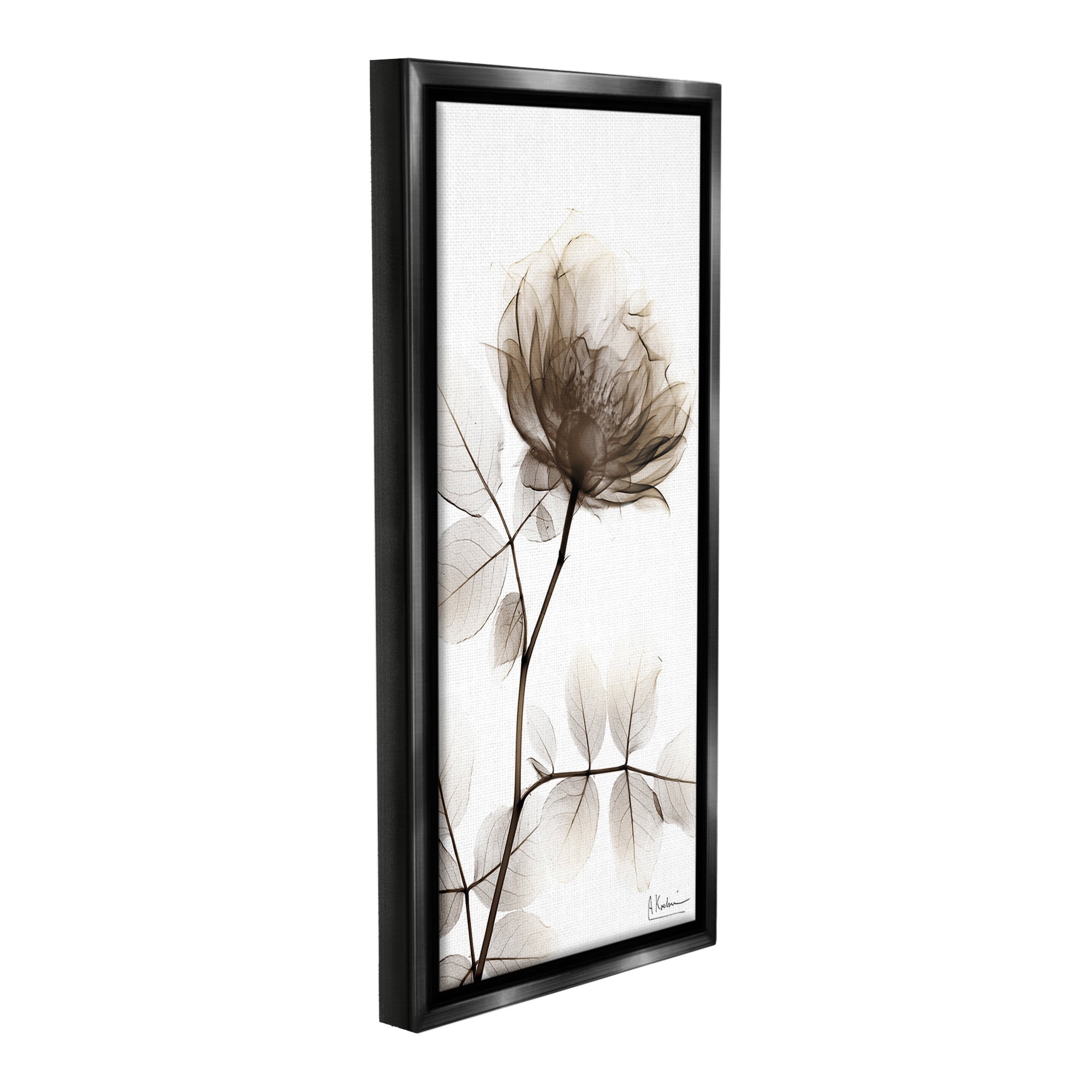 Stupell Industries Contemporary X-Ray Flower Botanical & Floral Photography Black Floater Framed Canvas Art Print Wall Art, 14 x 31