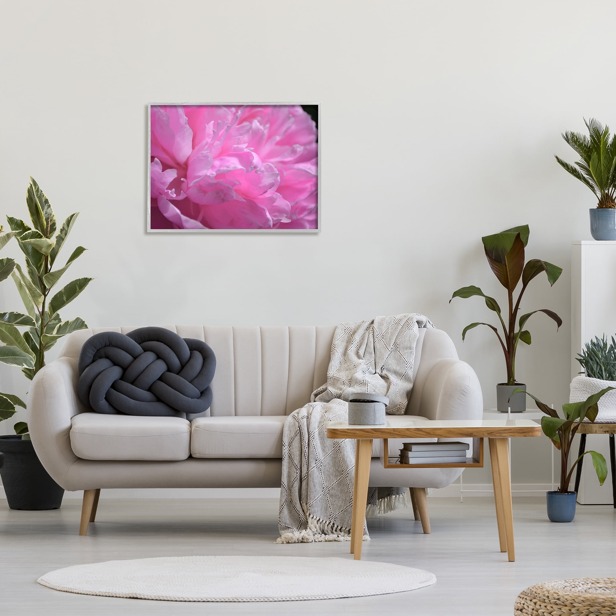Stupell Industries Pink Carnation Photography Botanical & Floral Photography Gray Framed Art Print Wall Art, 30 x 24