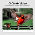 thumbnail image 4 of Comedero inteligente para pájaros HEAPETS con cámara solar 1080P HD, 4 of 8