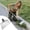 Style B, variant on Heavy Duty Snow Shovel with Long Handle, Multi Functional Cleaning Shovel for Driveway Snow Removal, Durable Ice Scraper Shovel for Car Roof Truck SUV