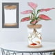 thumbnail image 4 of Florero nórdico Florero Flor seca Contenedor Titur pequeña para el hogar Foto Prop Mesa de escritorio Centro Decoración 9cmx12.8cm Sunnimix floreros decorativos, 4 of 8