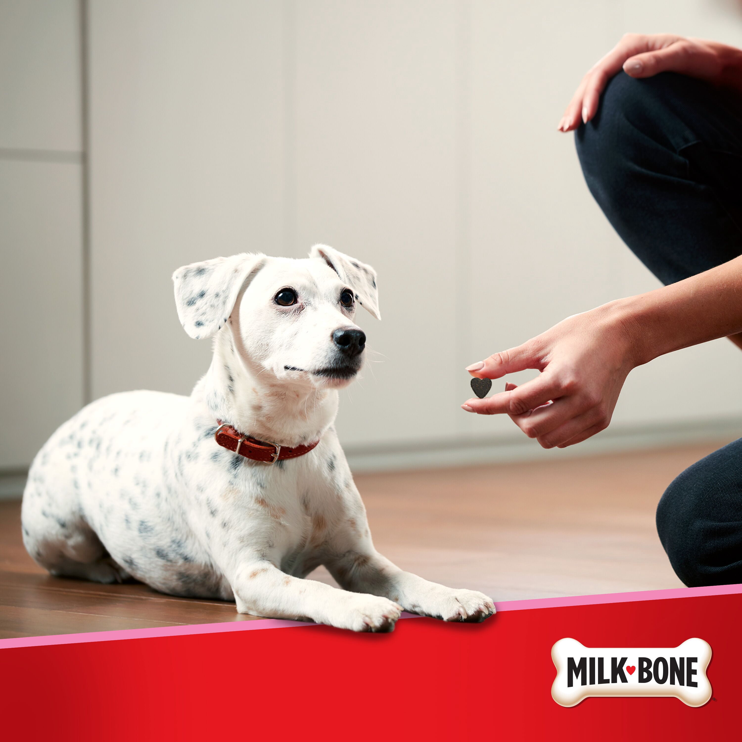 Milk-Bone Daily Digestion Dog Supplements, Deliciously Soft Dog Chews, 60 ct.