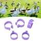 thumbnail image 1 of Anillos 100 pcs piso de pollo anillo Pato Gallina Piernos Anillos Clip Herramientas de Cultivo de Anillo de Pie de Aves de Corral, 1 of 7