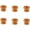 24mm Mushroom, variant on Gamvdout Furniture Knobs 6Pcs Chinese Style Wooden Box Handles Wooden Box Handles Drawer Door Wardrobe Door Solid Wood Furniture Handles 32Mm Mushroom
