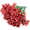 Red, variant on JUANCHENG Violet Silk Printed Artificial Flowers for Outdoor Decor in Multiple Colors