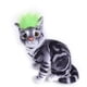 thumbnail image 3 of Xihbxyly Babero de Halloween para Mascotas, Toalla de Saliva para Perros a La Moda, Diseño de Peluca, Tela Suave y Cómoda, Cuello Ajustable, Apto para Gatos y Perros Pequeños, Accesorio para Fotos, F, 3 of 3
