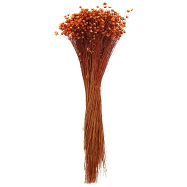 14" Burnt Orange Dried Campo Flower Bunch by Ashland® - Fall Floral for Crafts and Home Decor