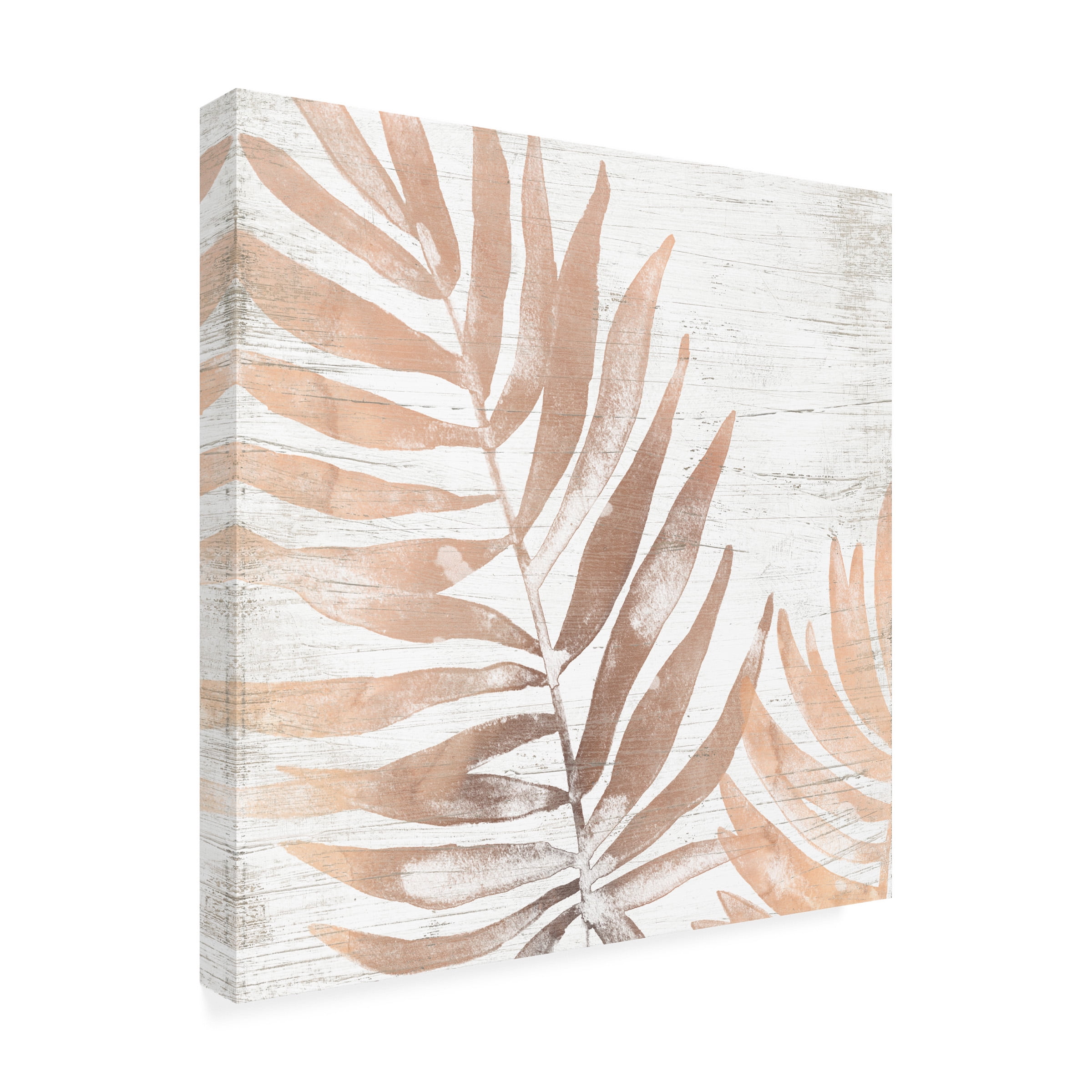 June Erica Vess 'Neutral Palm Fossil II' Canvas Art