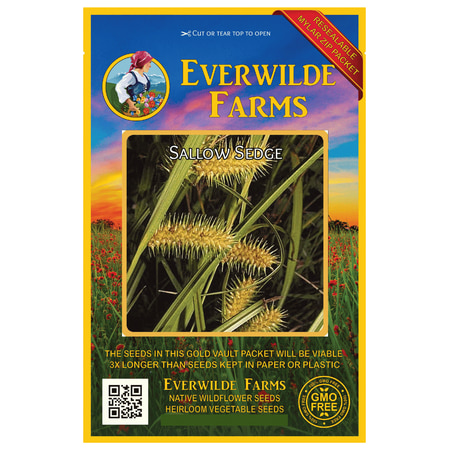 Everwilde Farms - 400 Sallow Sedge Native Grass Seeds - Gold Vault Jumbo Bulk Seed Packet