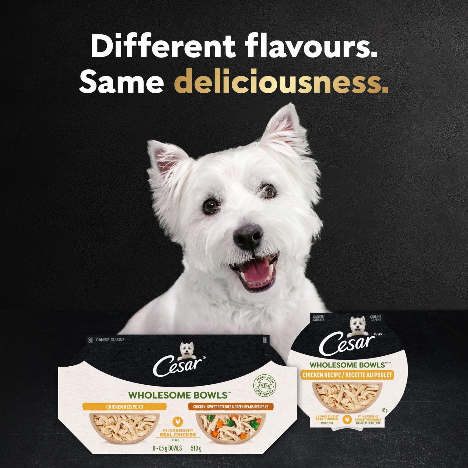 Cesar Wholesome Bowls Beef, Chicken, Carrots & Purple Potato Adult Wet Dog Food, 85g