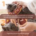 thumbnail image 2 of Adjustable Cat Recovery Collar, Cute Cat Donut Collar, Soft Cone Collars for Cat, Wound Healing Protective Cone After Surgery Elizabethan Collars for Kitten Pets, 2 of 7