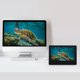 thumbnail image 5 of Monitor de 7 pulgadas Ticfox Pantalla HDMI LCD IPS 1024 x 600, 5 of 12