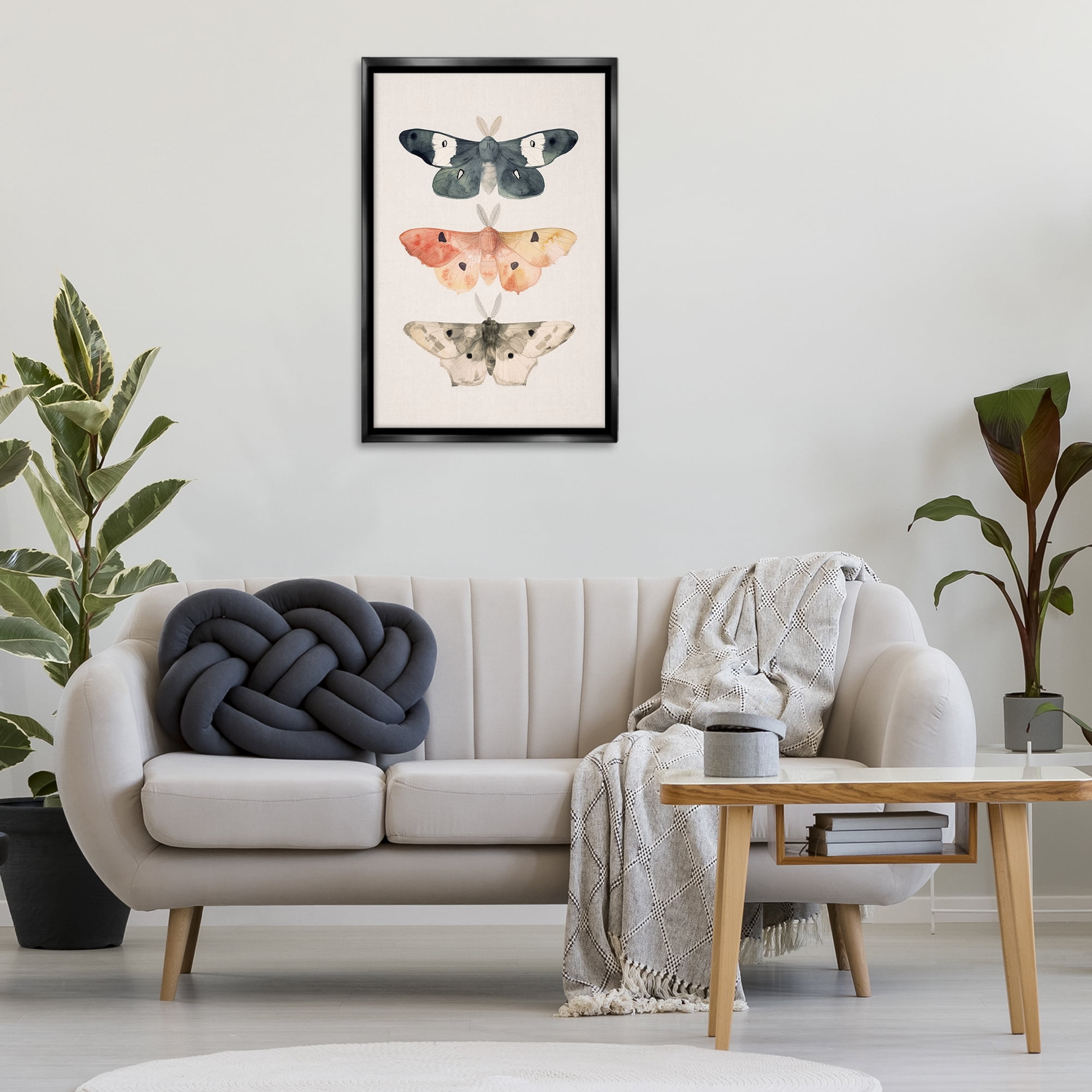 Stupell Industries Watercolor Moth Trio Animals Painting Black Floater Framed Canvas Art Print Wall Art, 21 x 31