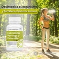thumbnail image 4 of Suplemento alimenticio Healthaddiction Espirulina, chlorella y moringa 90 tabletas 500mg c/u, 4 of 4