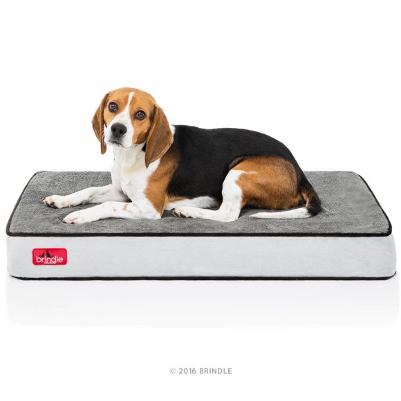 Cama Ortopédica para Perro Brindle en Negro Carbón con Memory Foam y Cubierta de Velvetón Impermeabl