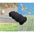 thumbnail image 6 of Strong 100ft x 100ft Nylon 2-Inch Mesh Anti Bird Poultry Netting for Fruit Trees Used As Bird Netting for Chicken Coop, Garden Netting, Plant Netting, Tree Protectors, Aviary Netting, 6 of 7