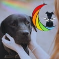 thumbnail image 4 of HNZXIB Black Dog on Moon Rainbow Bridge Sun Catcher Hanging Suncatcher Acrylic Dog Memorial Ornament, 4 of 6