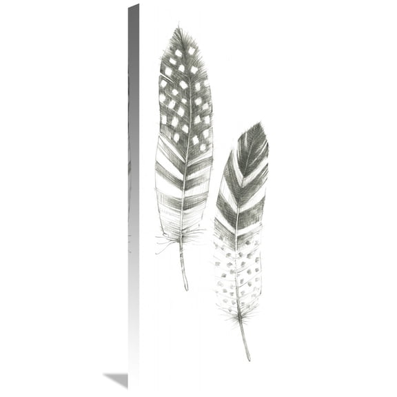 Global Gallery Avery Tillmon 'Feather Sketches VIII' Canvas Wall Art