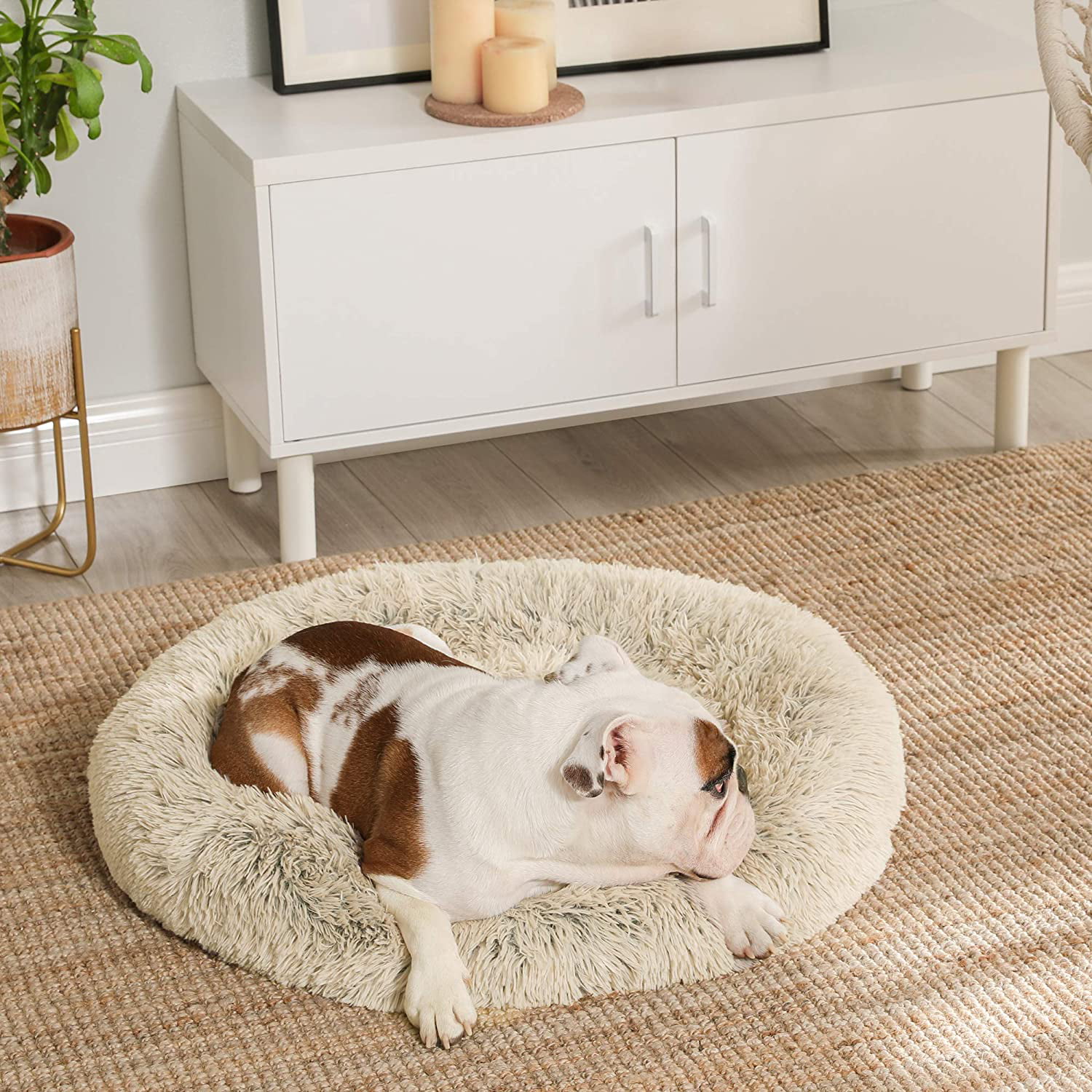 Soft Plush Surface Washable FEANDREA Dog Bed Cat Bed Donut-Shaped Dog Sofa with Removable Inner Cushion 