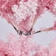 thumbnail image 5 of Árbol de Navidad Topeakmart Prelit Slim, 2,3 m, rosa con luces, 5 of 9