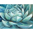 thumbnail image 2 of Nan 18x15 Gold Ornate Wood Framed with Double Matting Museum Art Print Titled - Cerulean Succulent, 2 of 4