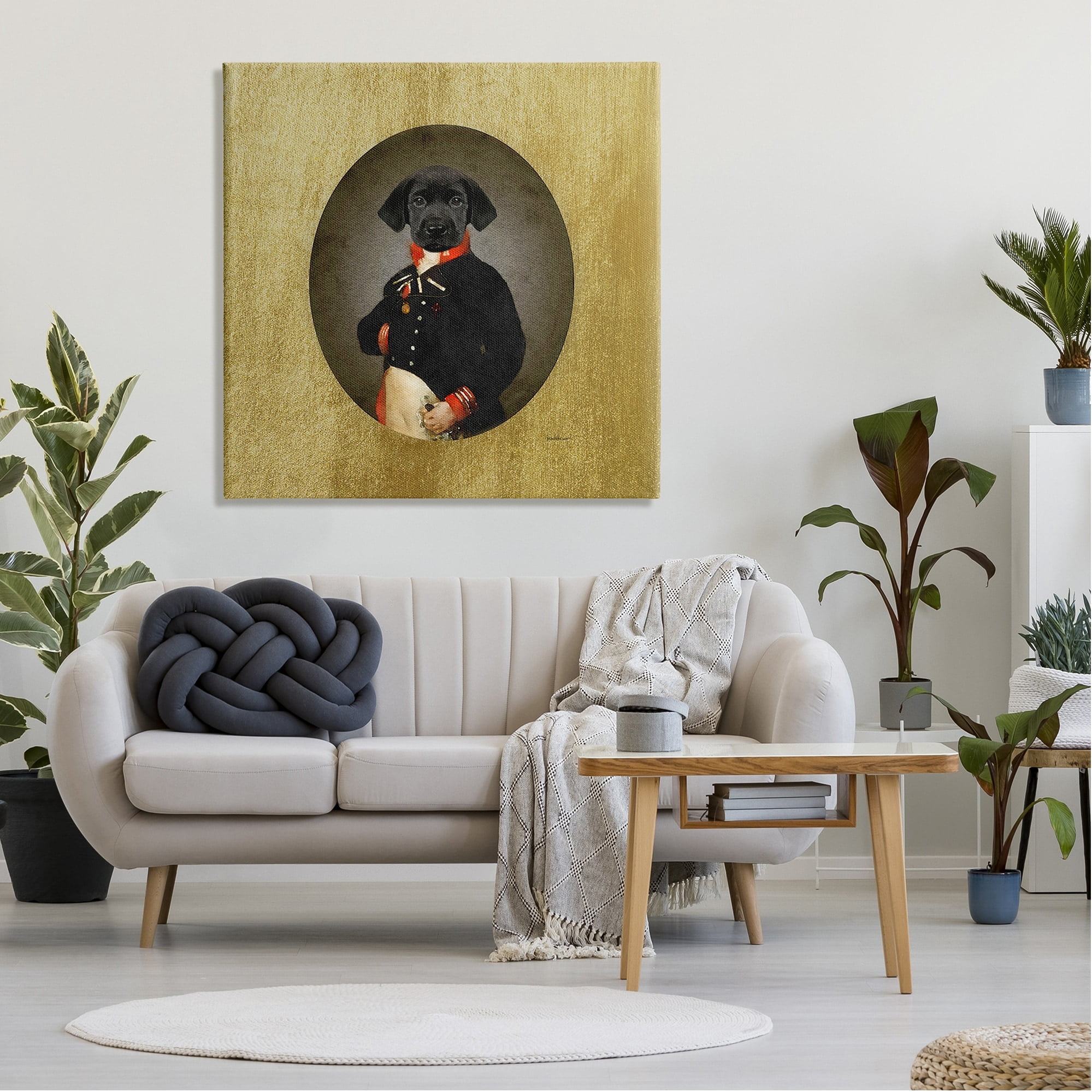 Stupell Industries Funny Black Dog Wearing Suit Vintage Admiral Portrait, 36 x 36, Design by Amanda Greenwood