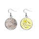 thumbnail image 1 of Textura de pared de piedra de superficie luz crujidos Pendiente Sol Flor Pendiente Joyas Moda Unbranded M, 1 of 3