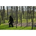 thumbnail image 3 of All-Weather Outdoor Bigfoot Display over 7ft Tall, 3 of 7