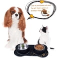 thumbnail image 1 of Pet Deluxe - Cuencos para perros de acero inoxidable sin derrames, alfombrilla de silicona antideslizante, juego de cuencos para comida y agua para perros, cuenco doble para perros, 1 of 5