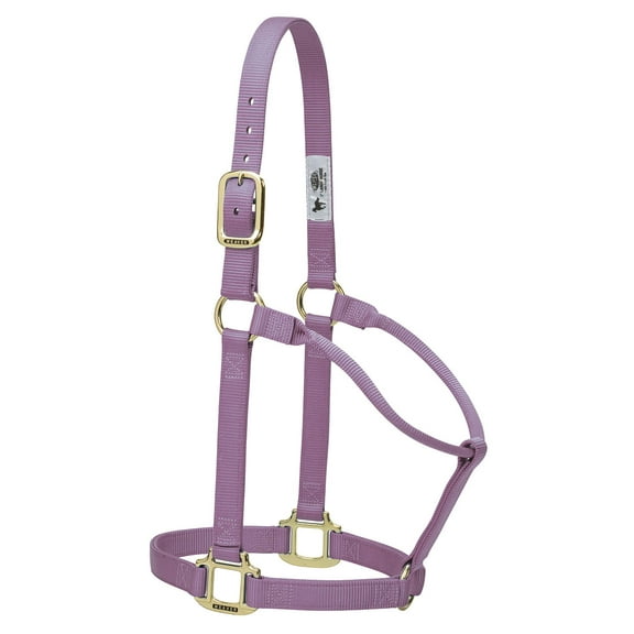 Weaver Original Nylon Halter Color: Lavender Size: Regular
