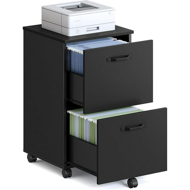 VASAGLE 2-Drawer File Cabinet, Small Rolling Filing Cabinet for Home Office, Printer Stand, for A4, Letter-Size Documents, 15.7 x 16.5 x 27.6 Inches, Matte Black
