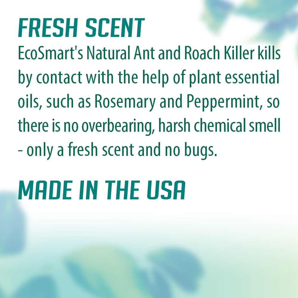 EcoSmart Natural, Plant-Based Ant and Roach Killer, 14 Ounce Aerosol Spray Can (Pack of 2)