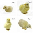 thumbnail image 3 of Mini Scene Model Home Decoration Easter Plush Chick Simulation Furry Chicken Lifelike Bird Kids Toy TYPE 1, 3 of 8