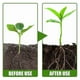 thumbnail image 5 of 2x50g Rooting Gel Hormone for Cuttings, Plant Growth Booster for Professional & Home Growers, 5 of 5