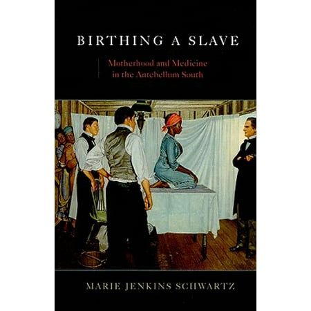 Birthing a Slave : Motherhood and Medicine in the Antebellum