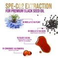 thumbnail image 2 of Black Seed Oil 1000mg - Premium Extra Strength Nigella Sativa Blackseed Oil - Black Seed Oil Skin, Digestive Health & Immune Support - Non-GMO Antioxidant, Gluten Free Supplement - 120 Softgels, 2 of 9