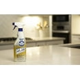 Bar Keepers Friend MORE Spray + Foam (25.4 oz) Multipurpose Spray Cleanser and Rust Stain