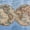 Ocean Hemispheres Map, variant on Elephant Stock Globe World Map Wall Art - Horizontal Multi Panel Canvas - Living Room Wall Decor - Education Multi Panel - Beige And Gray Decor - 23" x 14"