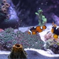 thumbnail image 3 of Paisaje De Acuario Decoración Para Acuarios Decoración Para Aireación Decoración De Piedra Coral Volcánica, 3 of 6