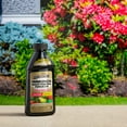 thumbnail image 6 of Spectracide Immunox Fungicide Spray Concentrate for Gardens, 16 oz, 6 of 9