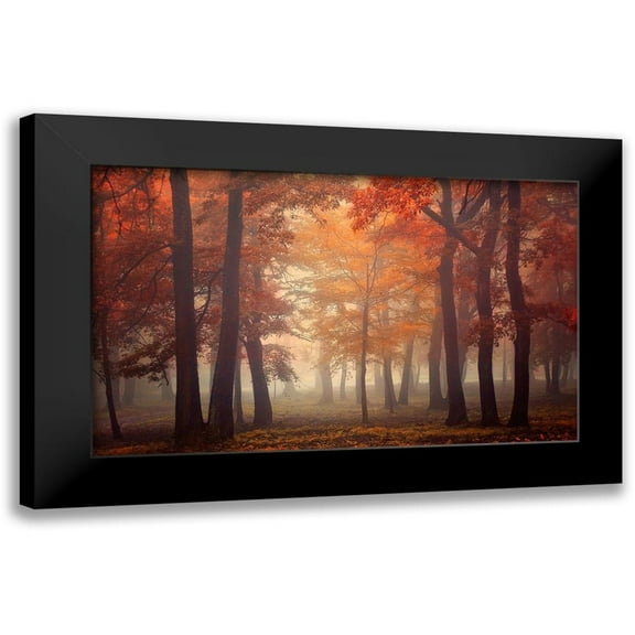 Neer, Ildiko 24x16 Black Modern Framed Museum Art Print Titled - Feel