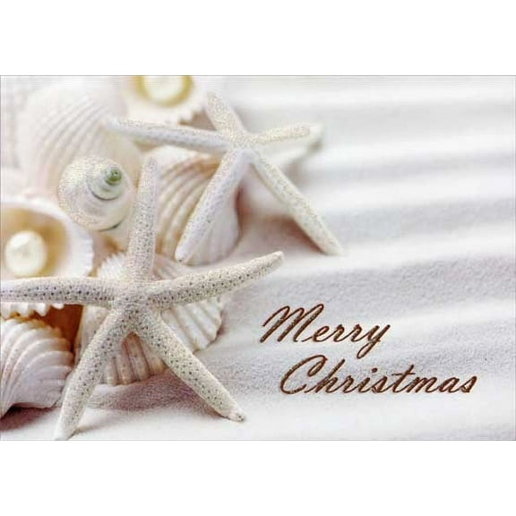 LPG Greetings White Starfish and Shells Tropical Christmas Card (1 card/1 envelope)