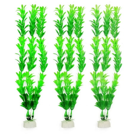 Aquarium Plant Care - 12.2