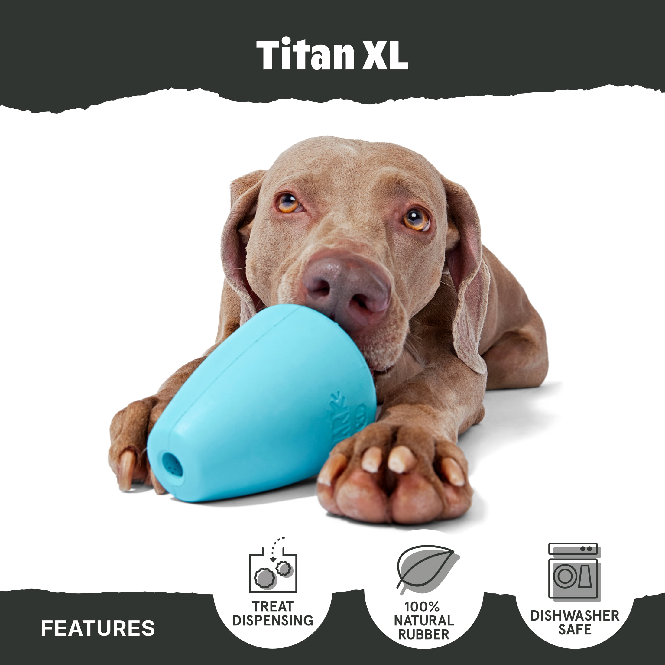 Titan BARK Durable Chew Toy for Dogs