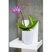 DecoPots - Self-Watering Orchids Flower Pot 5.5 inch - Wicking Pot for Flowers Diameter 5.5", White
