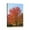Tree (9), variant on Add Nature's Touch with 12x16 Unframed Canvas Wall Art - Landscape Forest, Tree & Plant Scenery - Waterproof Decor for Kitchen, Dining Room, Office